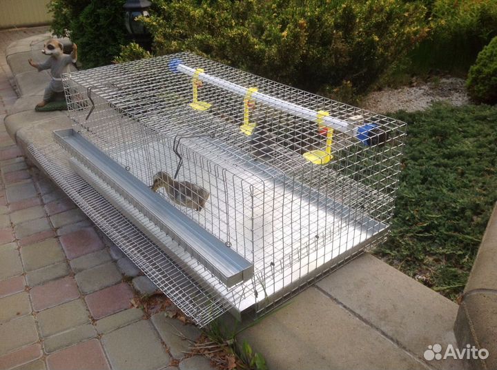 Клетка для перепелов
