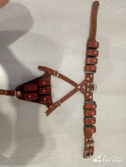 Шлейка для средней собаки