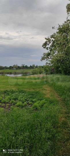 Участок 22 сот. (ИЖС)