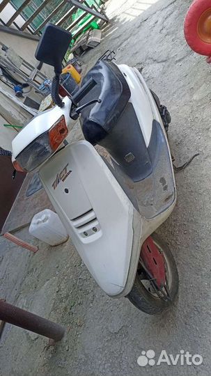 Хонда такт 24