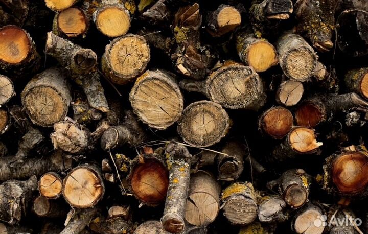 Лиственные дрова