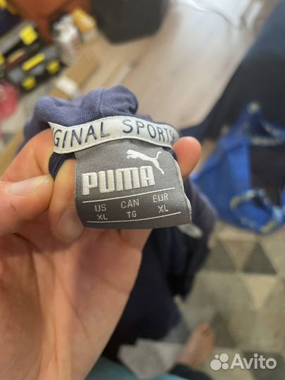 Зипка puma