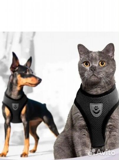 Шлейка для собаки с поводком