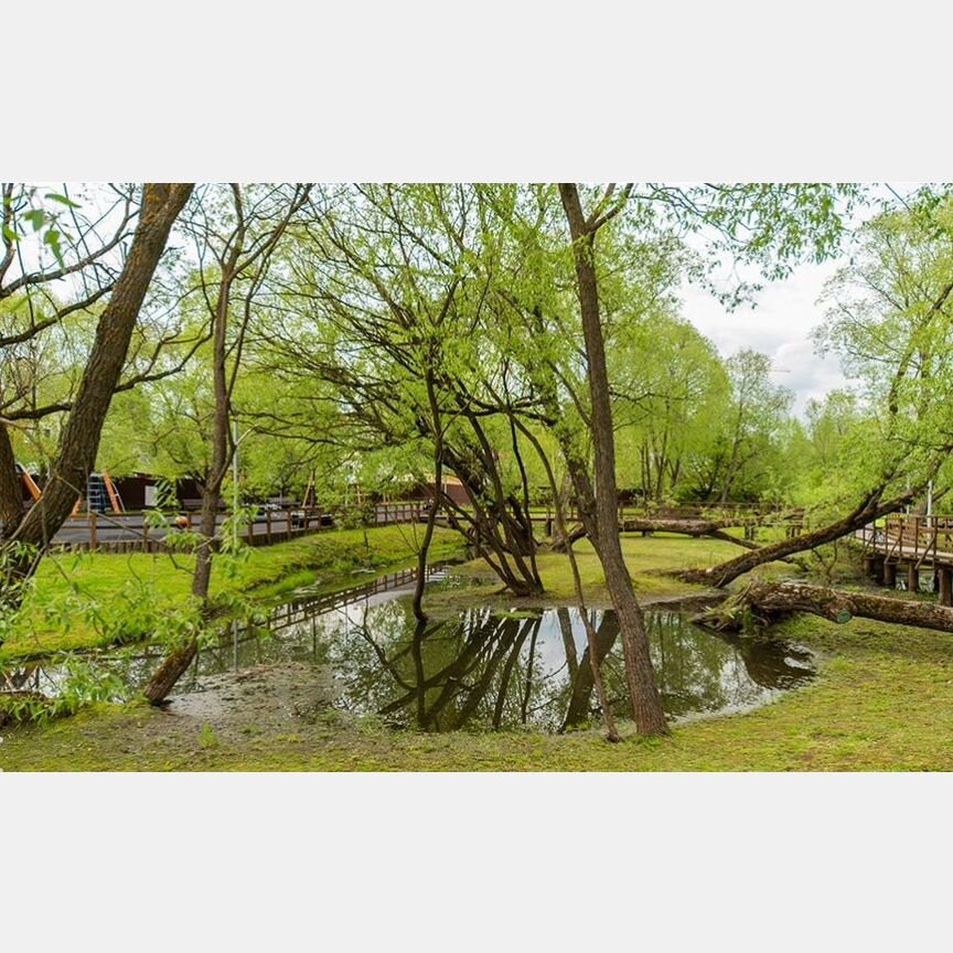 2-к. квартира, 43,6 м², 5/17 эт.