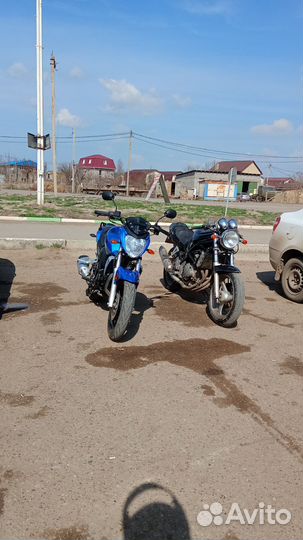 Рейсер Нитро 250