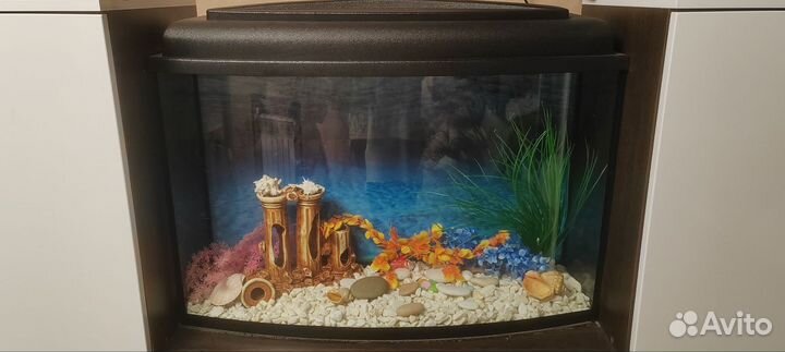 Аквариум
