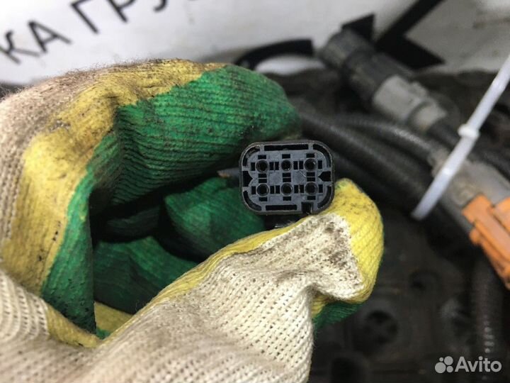 Электропроводка Man TGX