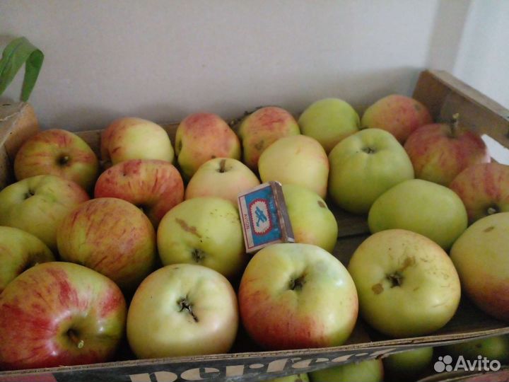 Яблоки и сок из них