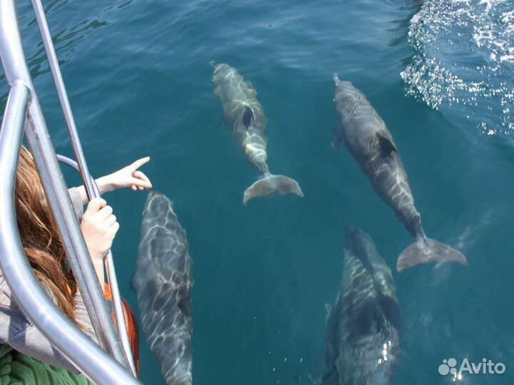Морская прогулка и рыбалка Сочи Сириус Адлер