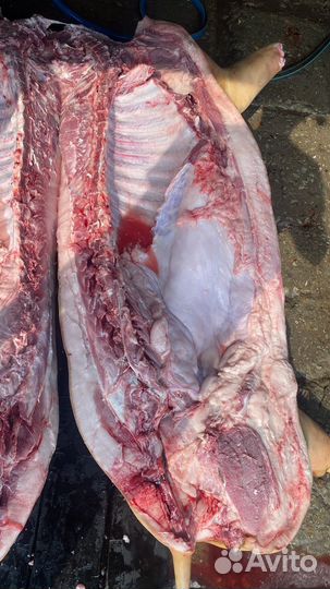 Мясо свинина домашняя