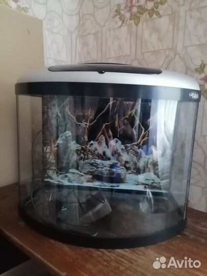 Аквариум панорамный