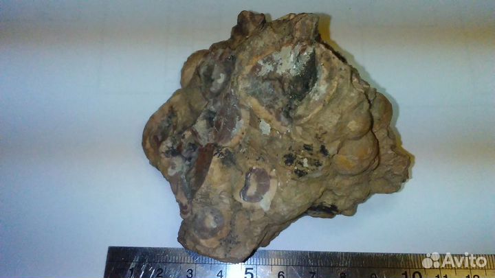 Минерал Септария