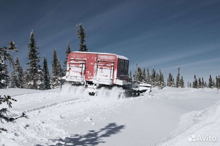 Фрирайд на ратраках в Шерегеше