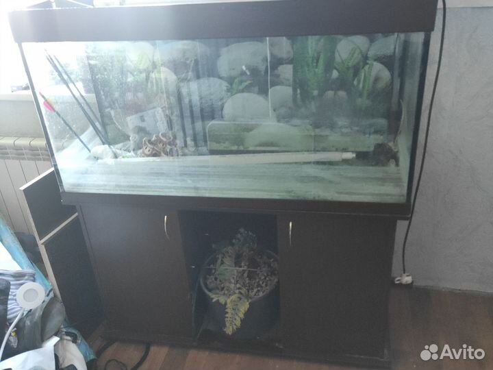 Аквариум с тумбой 300 литров