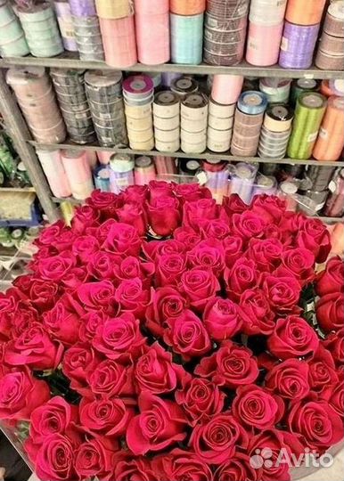 Высокие розы Гигантские розы Доставка цветов