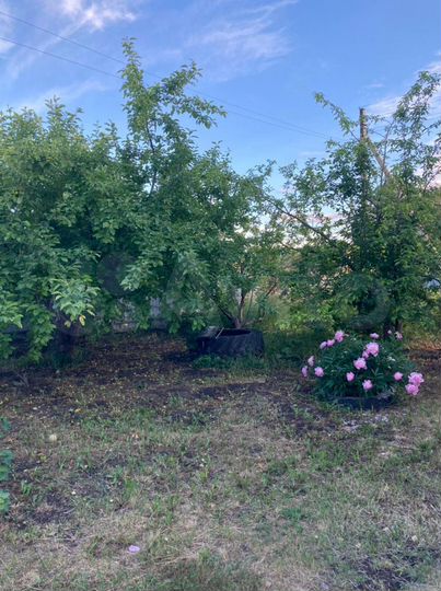 Дом 75,5 м² на участке 18,8 сот.