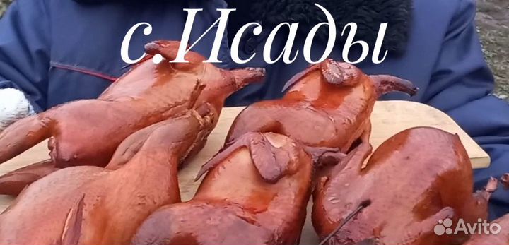 Копченые перепела