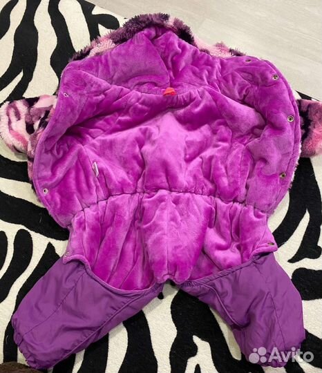 Одежда для собак