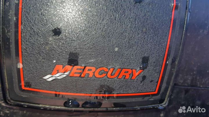 Южанка -2