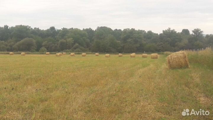 Сено в рулонах 2023