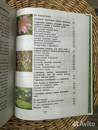 Зеленые страницы Плешаков