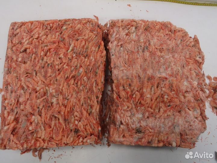 Креветка Северная с/м 230+