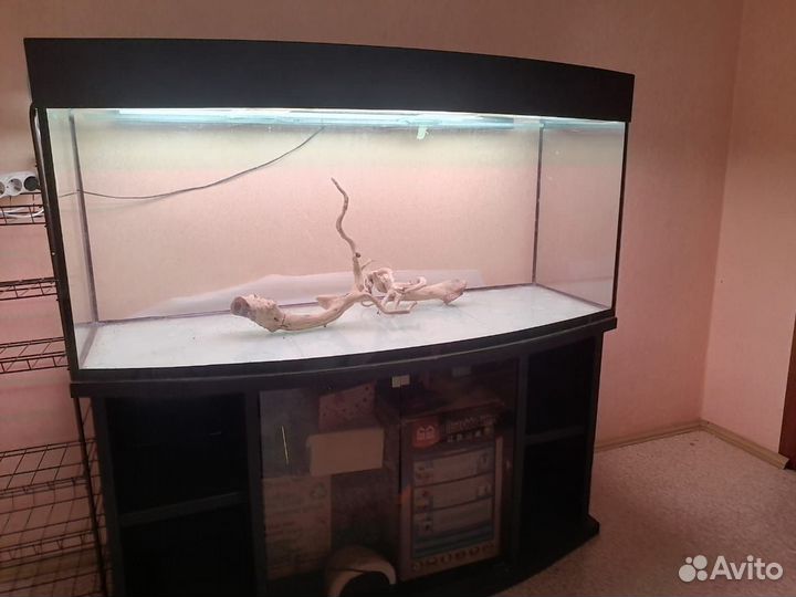 Аквариум на 400л и тумба