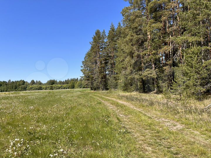 Участок 7 сот. (ИЖС)