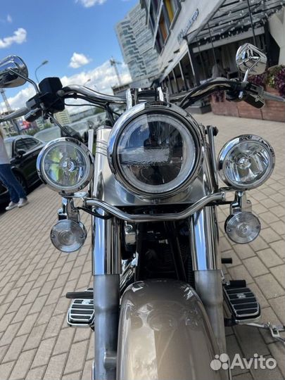 HD Heritage (Smokey Gold)