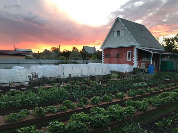 Дача 44 м² на участке 5,3 сот.