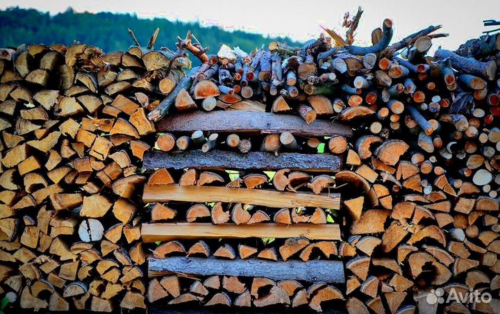 Дрова осина ольха
