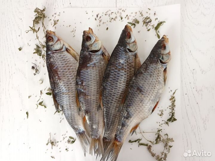 Сорожка сорога рыба