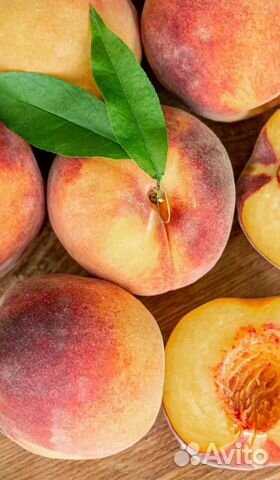 Саженцы Персиков Нектарины Абрикосы