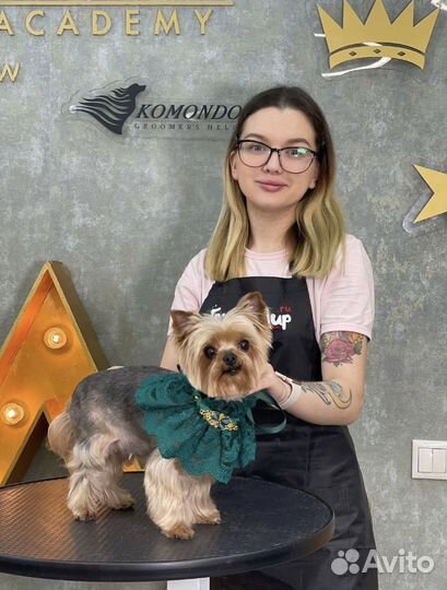 Груминг, стрижка собак