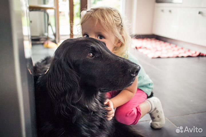 Объектив Canon EF-M 22 mm f/2 STM