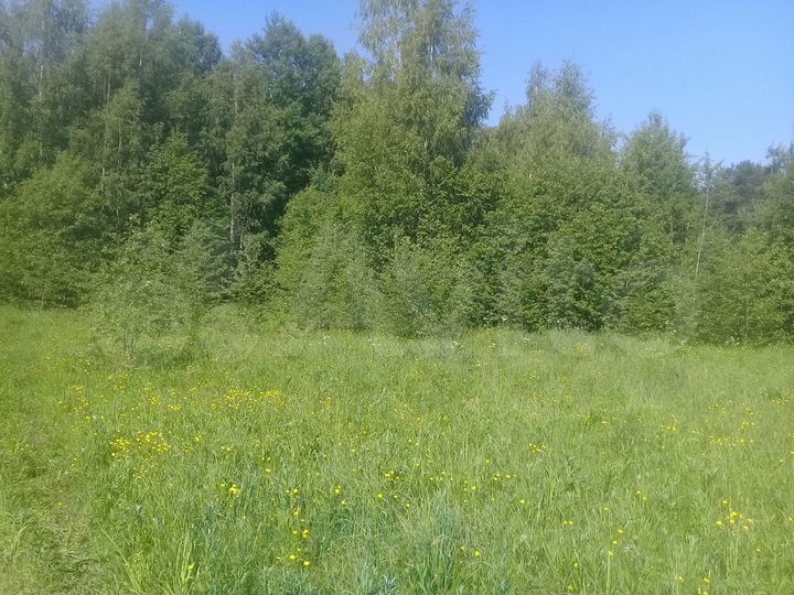 Участок 21 га (СНТ, ДНП)