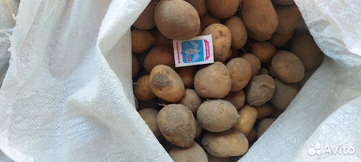 Картофель домашний мелкий