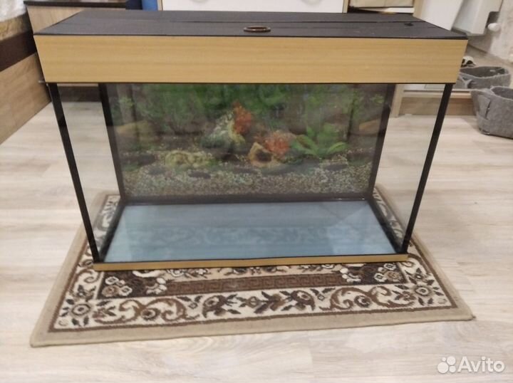 Аквариум