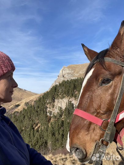Конные прогулки, походы