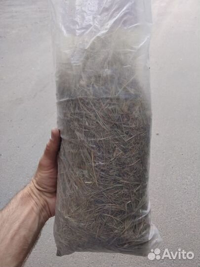 Продаю сено для домашних грызунов