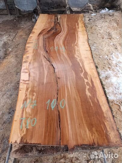 Вековые слэбы чинара в наличии