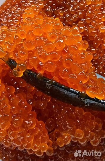 Краснаяикра-оптом