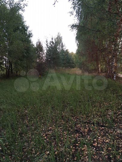 Участок 30 сот. (ИЖС)