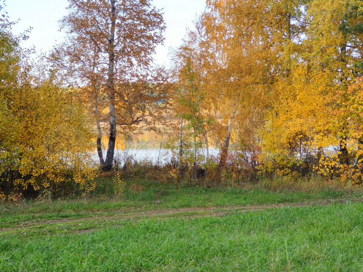 Участок 1,04 га (СНТ, ДНП)