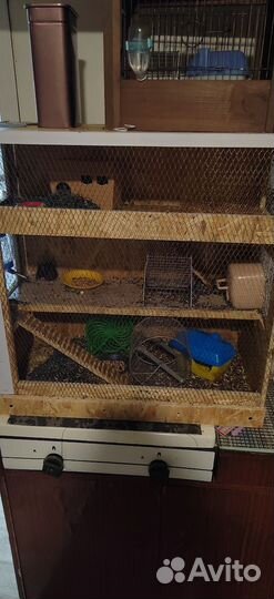 Хомяки вместе с клеткой