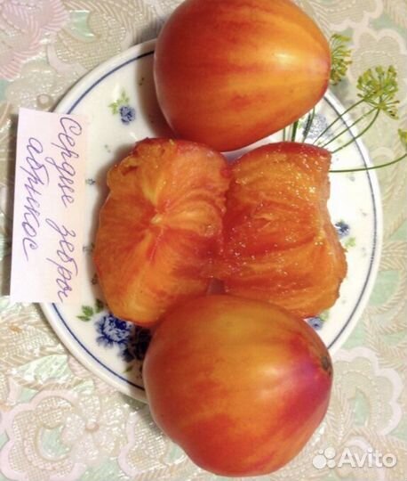 Семена коллекционных томатов