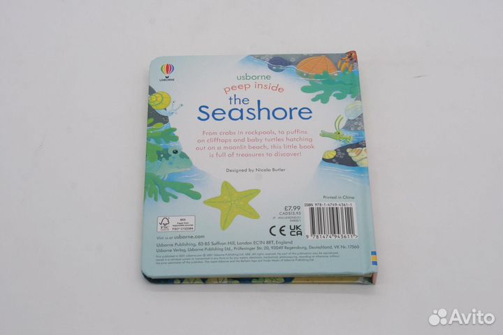 Peep inside the seashore