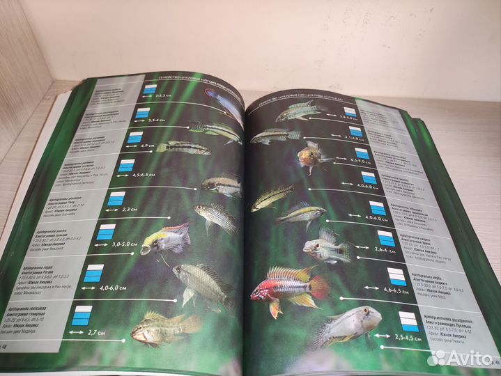 Атлас-справочник Всё об аквариумных рыбках