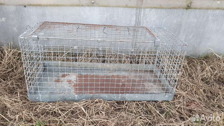 Клетки для кур, кроликов