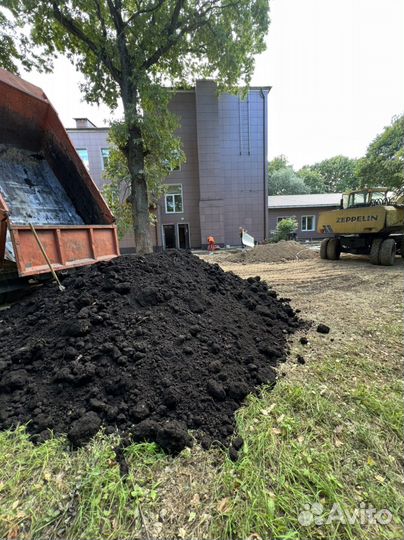 Чернозем, Верхний слой, Торф